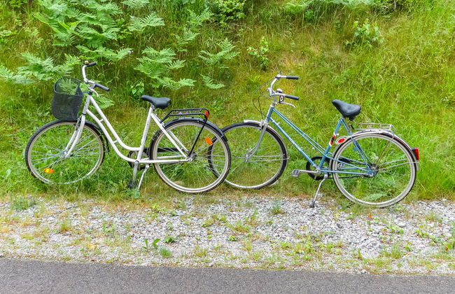 Joutsenlampi - Foto 16