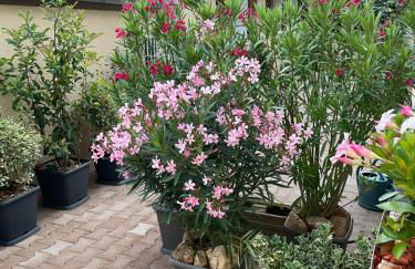 Le Logis d'Eve - Photo 11