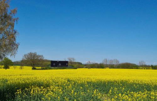 Ferienhaus Loimoos - Foto 1