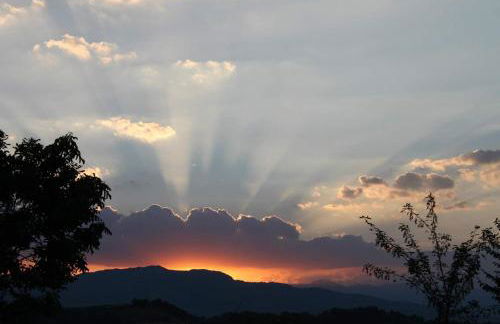 La via del parco - Foto 5