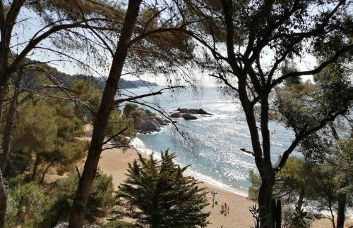 Apartment with garden and sea view Santa Cristina Blanes - Foto 73