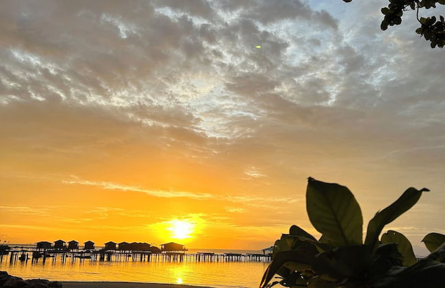 Freedom Beach Resort - Photo 14