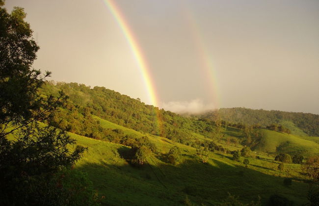 Dayboro Cottages - Photo 35
