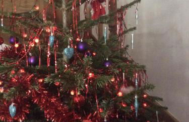 Red Rose Cottage - Foto 22