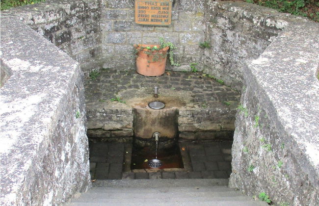 Eifel Garden Hideaway - Foto 19