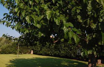 Villa Garden - Foto 26