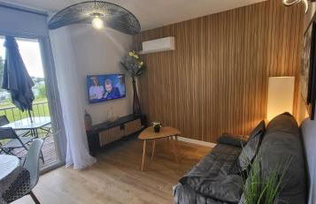 Appartement les hauts de balaruc L' escapade T2 rénové parking climatisation et piscine - Foto 26