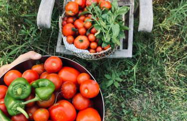 Il giardino di Gaia - Photo 54