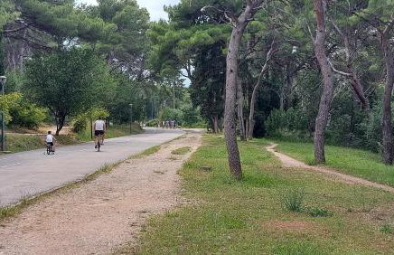 Little cherry - Photo 49