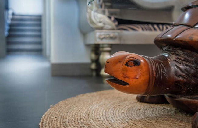 Molucano Themed Rooms - Photo 21