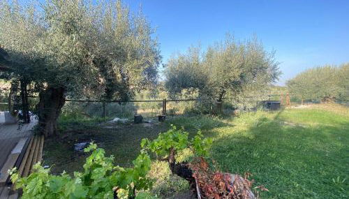 CasaRuibella - Foto 2