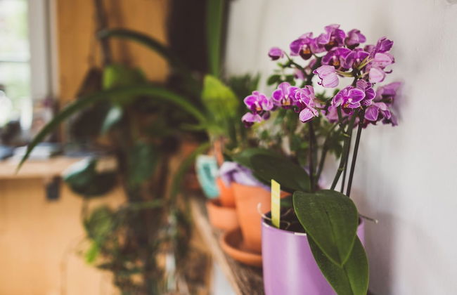 Chalet am Sonnenhang - Foto 2