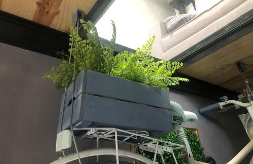 Casa Rural Atelier - Jardin y terraza - Foto 53