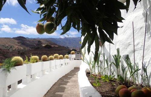 DRAGO 100, quiet and friendly - Foto 44