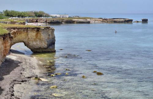 Masseria Bosco Mazza - Foto 37