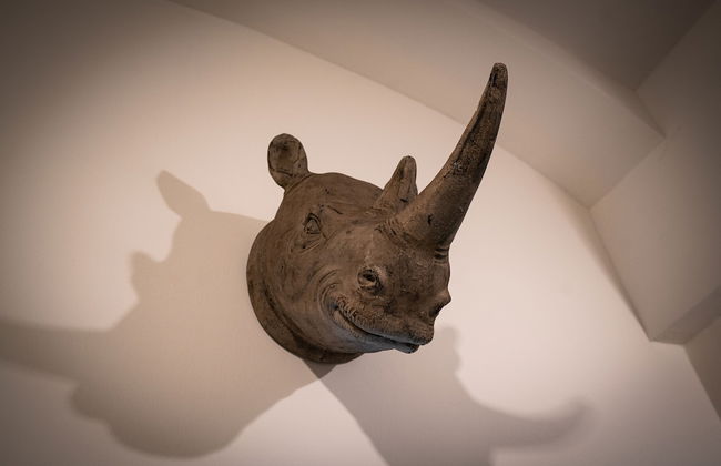 Rhino Studios - Photo 10