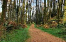 Holllie View - Foto 7