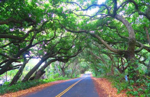 THE MAGICAL LAVA TEMPLE with EPIC Volcano Views! - Foto 70