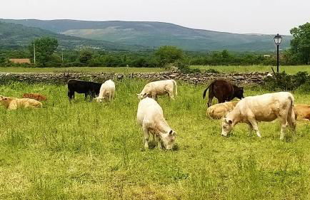 Casa Rural El Remolón - Foto 54