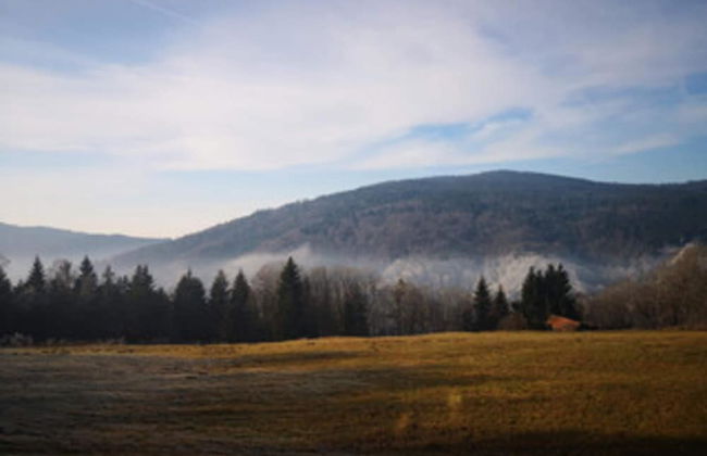 Apartment Near the Bavarian Forest - Foto 39