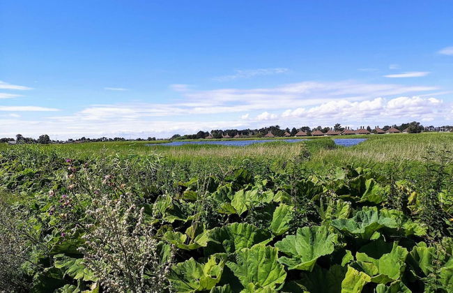 Tasteful Holiday Home in KarrebÃ¦ksminde near Sea - Foto 4