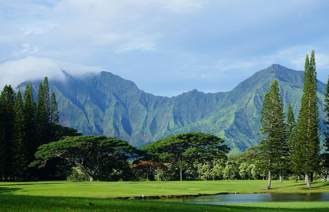 Emmalani Court 411 - Photo 20