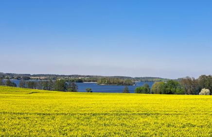 Apartment Kletterrose, Seenähe, Mecklenburgische Seenplatte - Foto 16