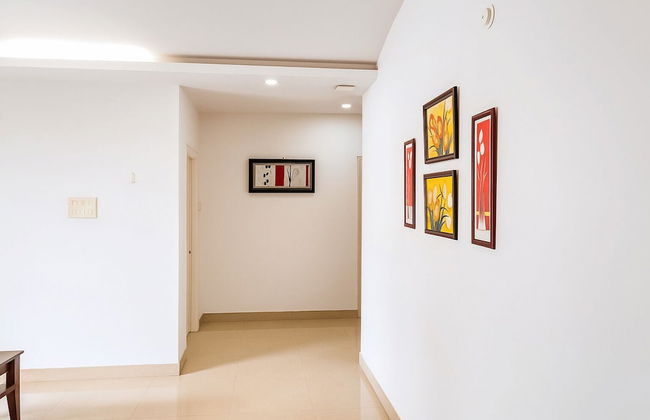 White Fern Stays - Foto 33