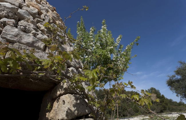 Monolocale del Sole - Foto 10