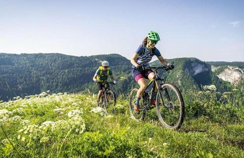 Charme et quiétude au cœur du Haut-Jura - Foto 35