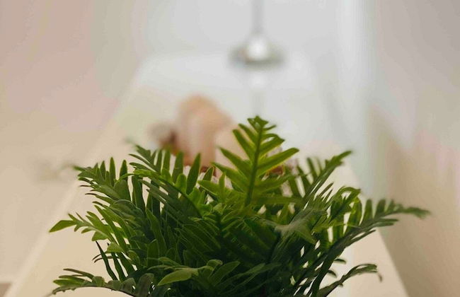 Apartamento Acogedor Cerca de la Playa - Foto 21