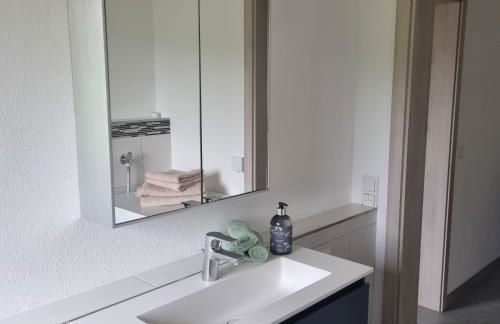 Ferienwohnung Wiesengrund, Ruhig im Ortsteil von Roth, nähe Rothsee, 25 min Messe Nbg - Foto 25