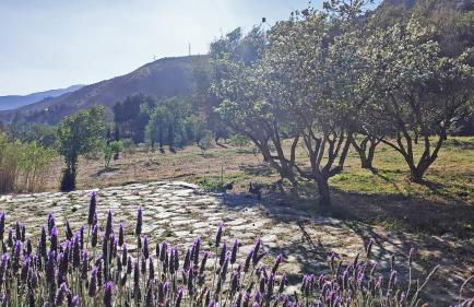 Cortijo AguaChá - Foto 23