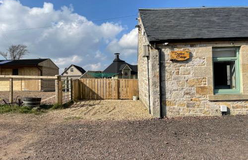 Distillers Cottage, Peaceful rural retreat in Lanarkshire, onsite craft distillery, hot tub, bbq hut, central for exploring Scotland - Photo 13