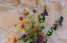 Trullo la perla di pietra - Foto 50