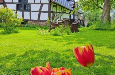 Landhaus am Aremberg - Eifel - Foto 22