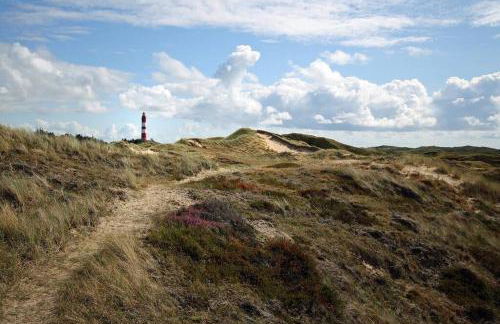 Wattliebe in Norddorf auf Amrum - Photo 8