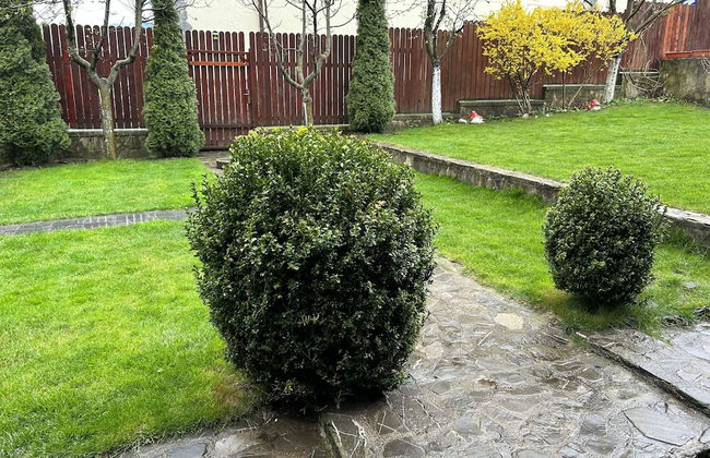 Casa Ador Sinaia - Foto 49