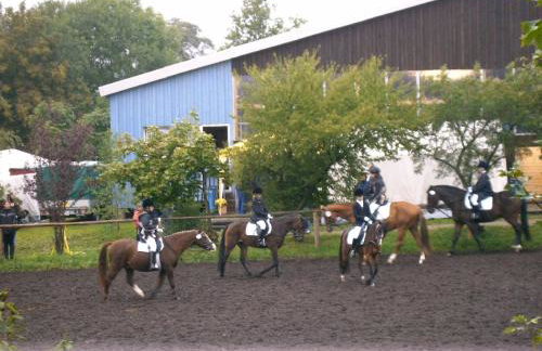 Ferienhaus-Hotel "Zur Grünen Oase" - Foto 53