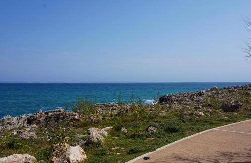 Cas Bufador - Foto 22