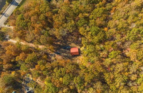 Eagles Nest Cabin with TN River Views - Foto 53