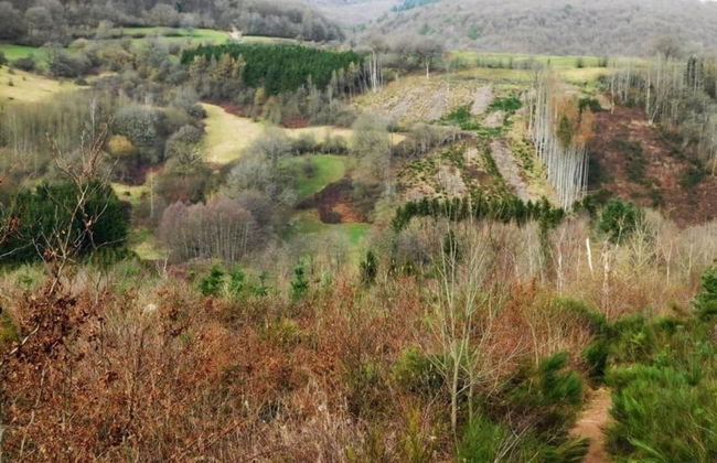 Luxurious Holiday Home in Érezée with Hot Tub - Photo 36