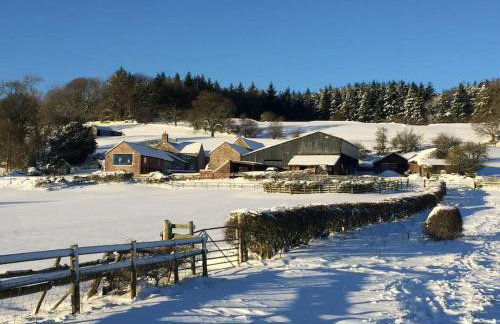 The Granary at Pentregaer Ucha, tennis court & lake. - Foto 31