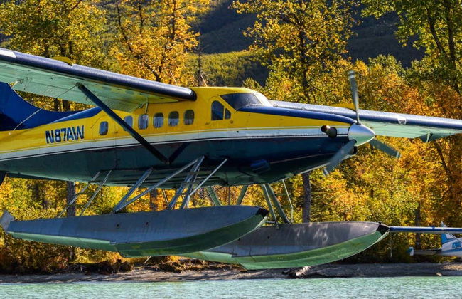 Escursione in aeroplano a Lake Clark + Avvistamento di orsi - Foto 6