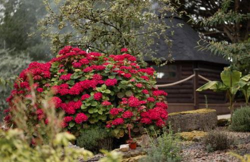 LakEscape - Waterfront Self- Catering Cabins - Foto 35