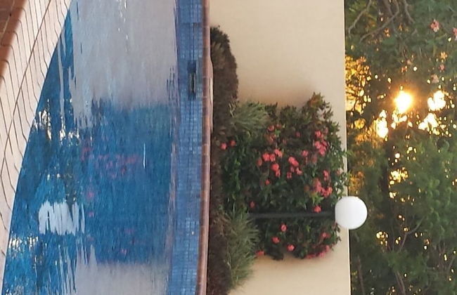 Kirribilli Riverfront Apartments - Foto 49