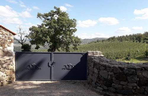 Casa do Feitor - Douro - Quinta da Cabrida - Foto 52