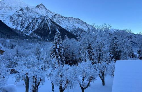 L'écrin des Bossons - Photo 29