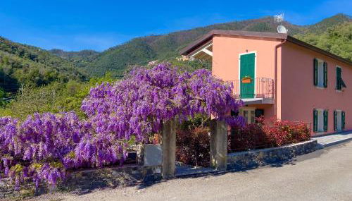 La Casa dei Glicini - Foto 2, Garden