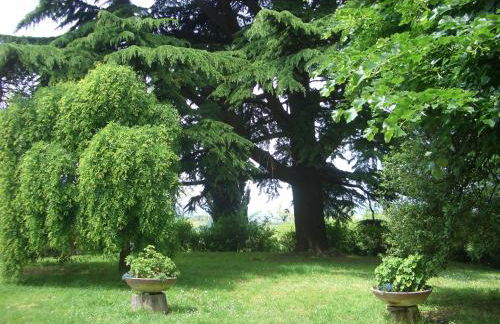 TENUTA MONTEGRANDE 1893 - Foto 49
